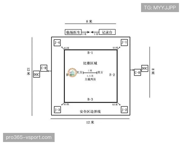 中立球规则解析：判罚条件与比赛执行标准详解