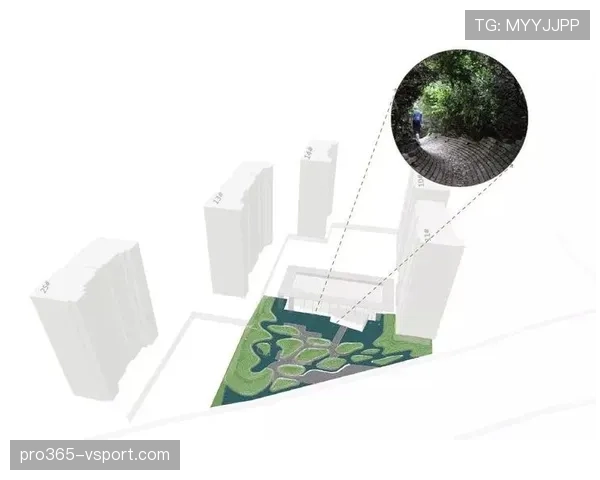 前场规则是什么意思？新手必看的前场规则教学解析