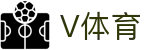 V体育-英超联赛实时数据与投注技巧